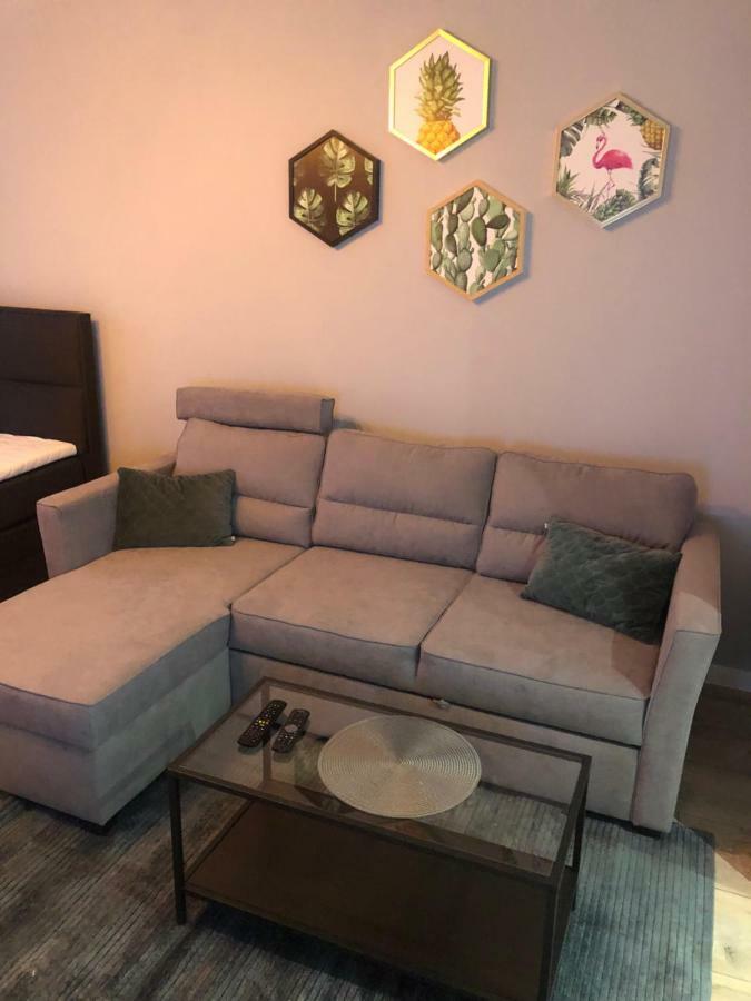 Apartament Flaming Z Balkonem - Scisle Centrum Naprzeciwko Pkp I Pks - Self Check In - Darmowy Parking - Pozne Wymeldowanie Do 12 - Wystawiamy Fv Opole Exterior foto